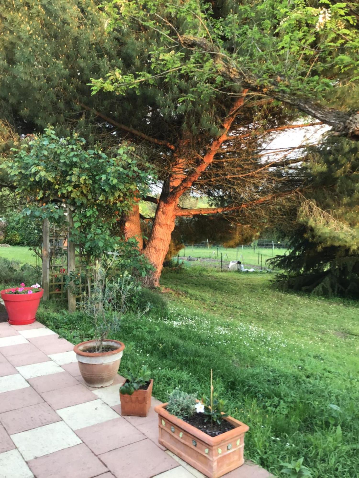 Des Roux Et Des Pious Suite De 35 A 60 M2 Et 3 Chambres Pour Groupe De 2 A 6 Personnes Civray-de-Touraine エクステリア 写真