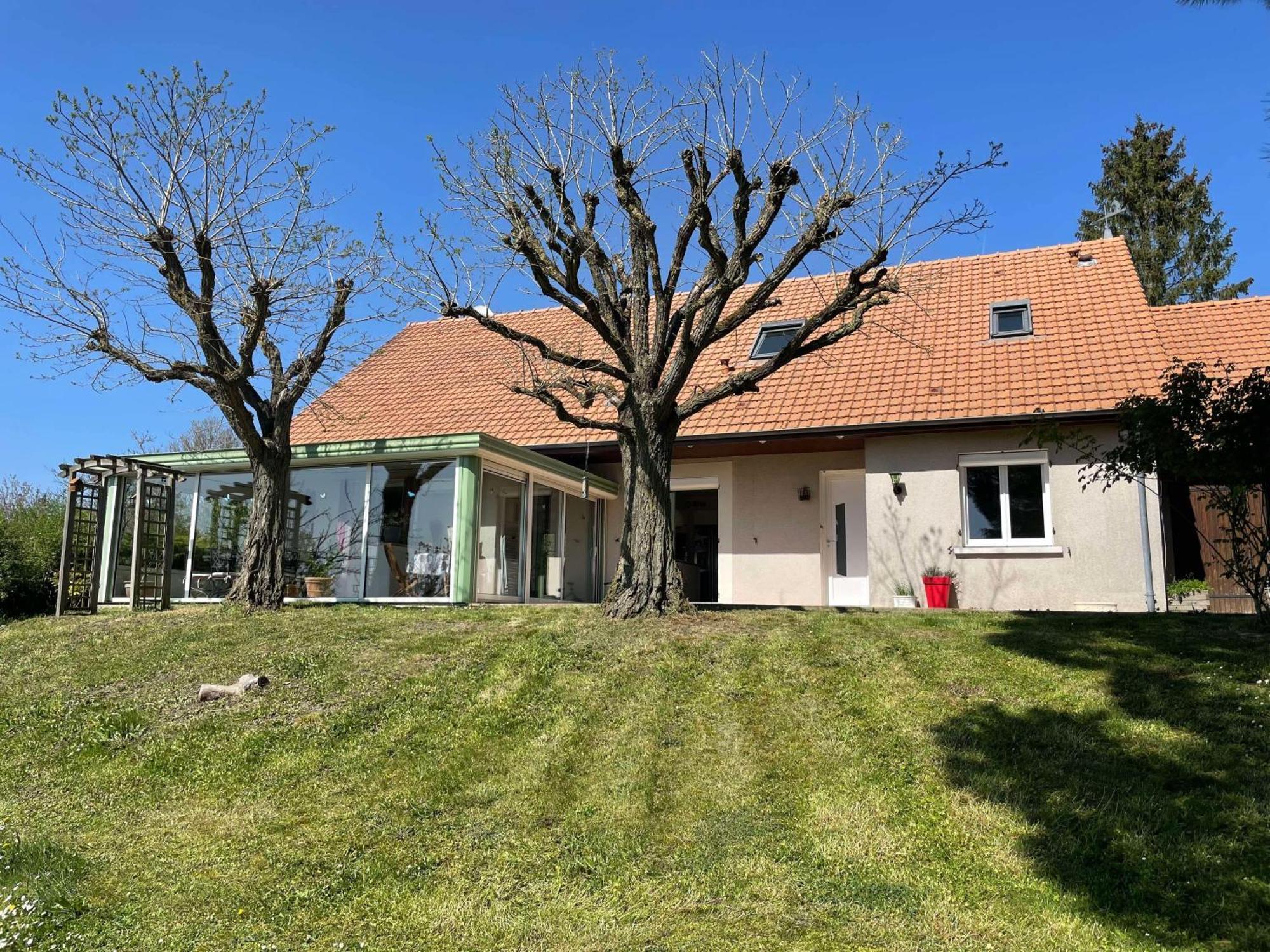Des Roux Et Des Pious Suite De 35 A 60 M2 Et 3 Chambres Pour Groupe De 2 A 6 Personnes Civray-de-Touraine エクステリア 写真