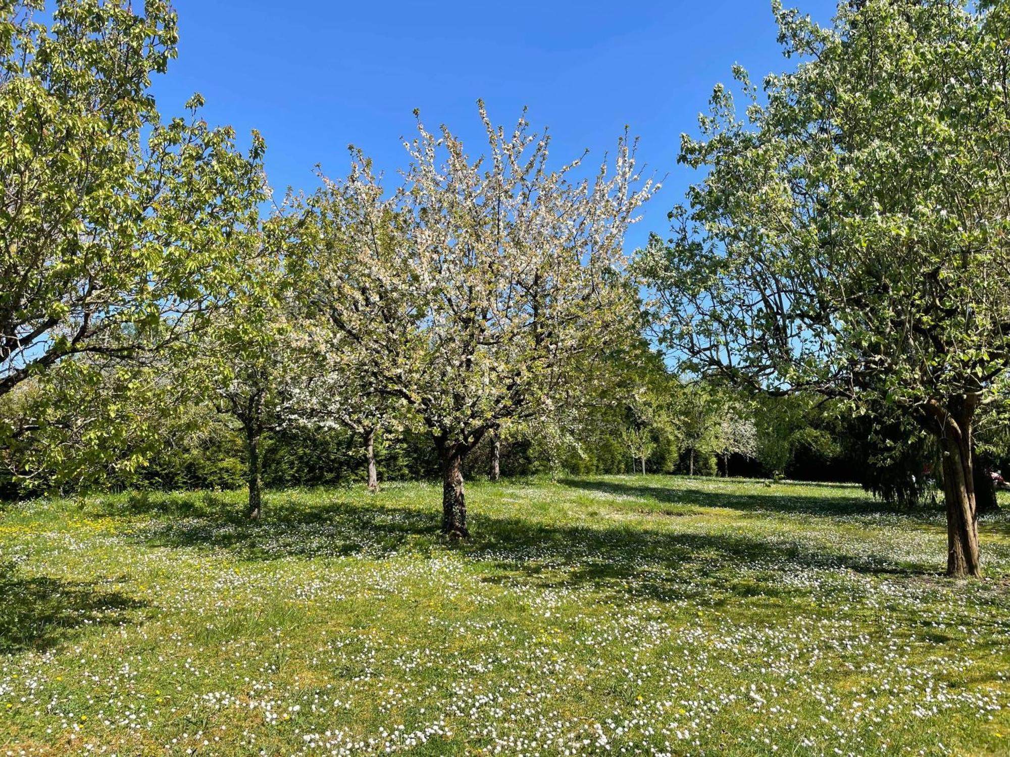 Des Roux Et Des Pious Suite De 35 A 60 M2 Et 3 Chambres Pour Groupe De 2 A 6 Personnes Civray-de-Touraine エクステリア 写真